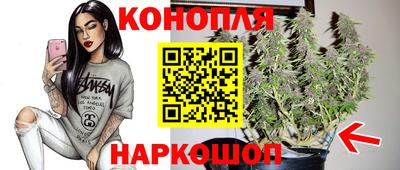 спайс Будённовск