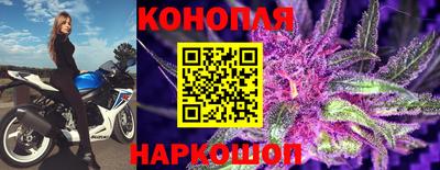 спайс Будённовск
