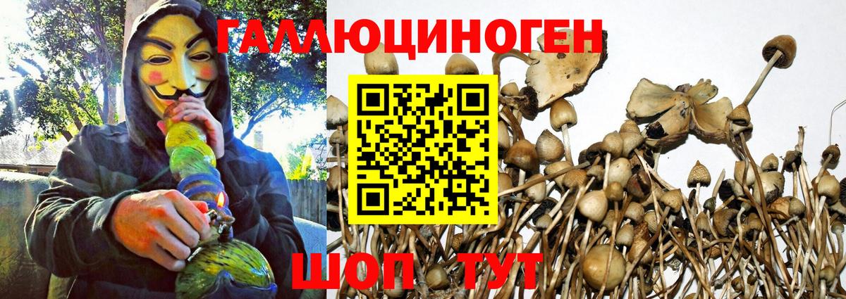 Галлюциногенные грибы Psilocybine cubensis  Вход с VPN  Челябинск 